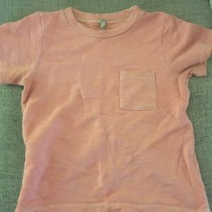 COPY - J Crew short sleeve sweatshirt style